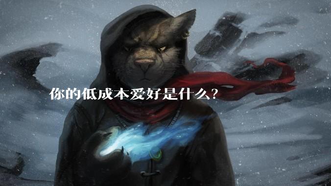 你的低成本爱好是什么？