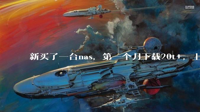 新买了一台nas，第一个月下载20t+，上传5+，不会被网警盯上吧?