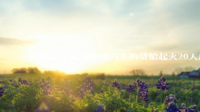 中国出发载3000辆汽车的货船起火20天后沉没，事故的原因可能是什么？海上运输电动汽车起火应怎样处置？
