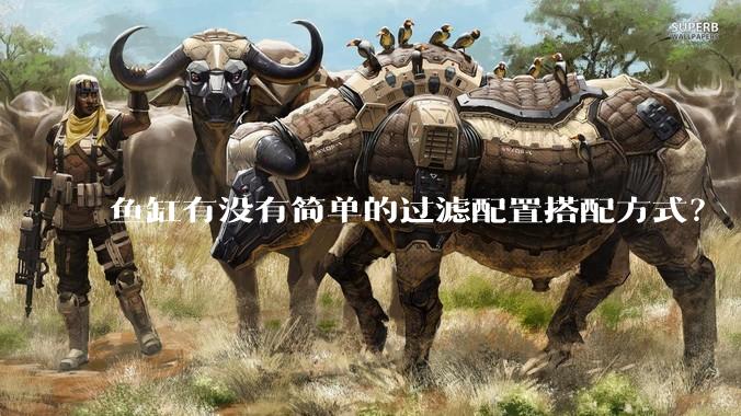 鱼缸有没有简单的过滤配置搭配方式？