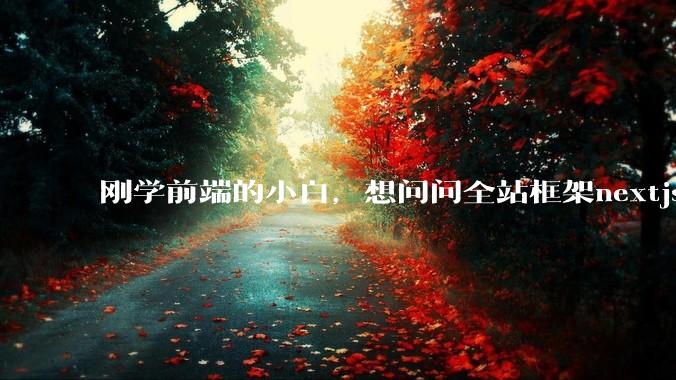 刚学前端的小白，想问问全站框架nextjs+shadcn+prisma为什么在国内不火呢？