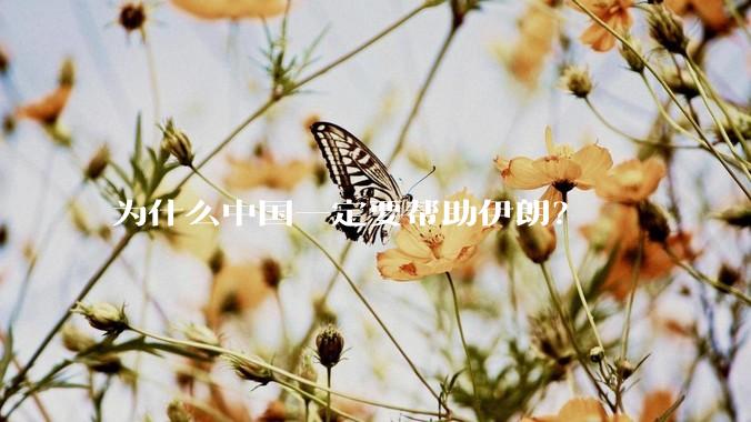 为什么中国一定要帮助伊朗？