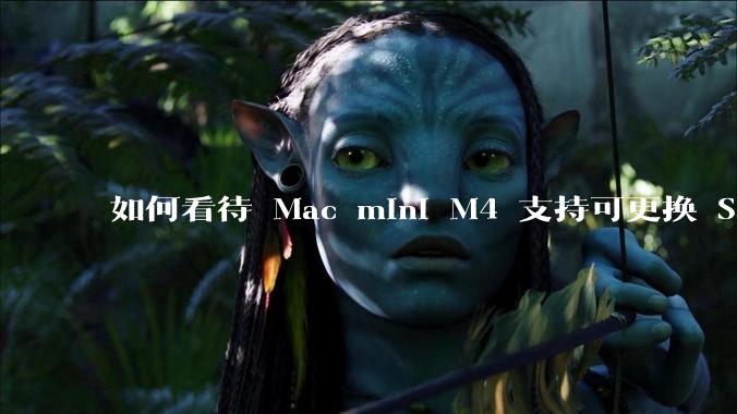 如何看待 Mac mini M4 支持可更换 SSD？