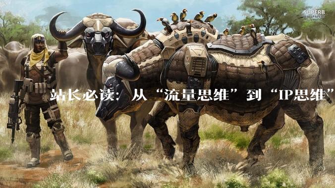 站长必读：从“流量思维”到“IP思维”的品牌升级之路 - *