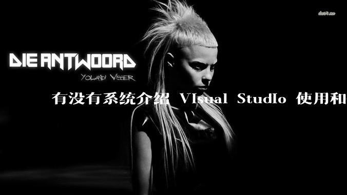 有没有系统介绍 Visual Studio 使用和技巧的书籍？