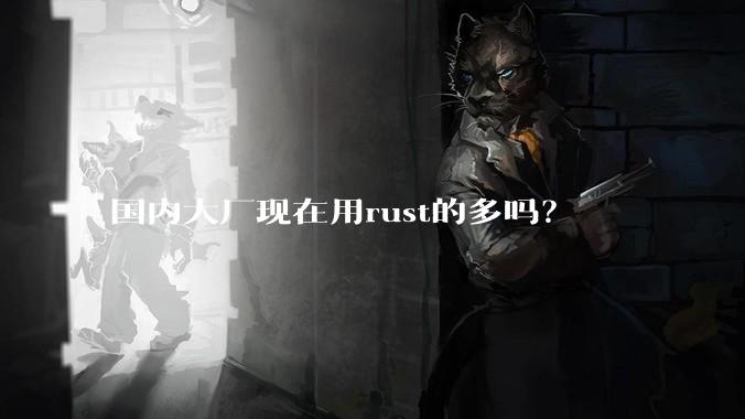 国内大厂现在用rust的多吗？