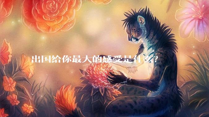 出国给你最大的感受是什么？