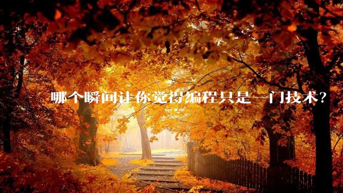 哪个瞬间让你觉得编程只是一门技术？